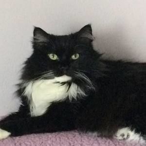 Meet your Posher, Jackie